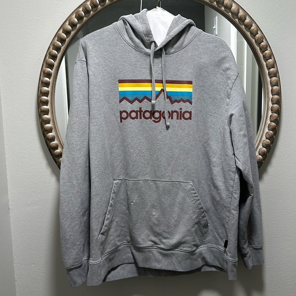 Patagonia Gray Hoodie with Multicolor Logo